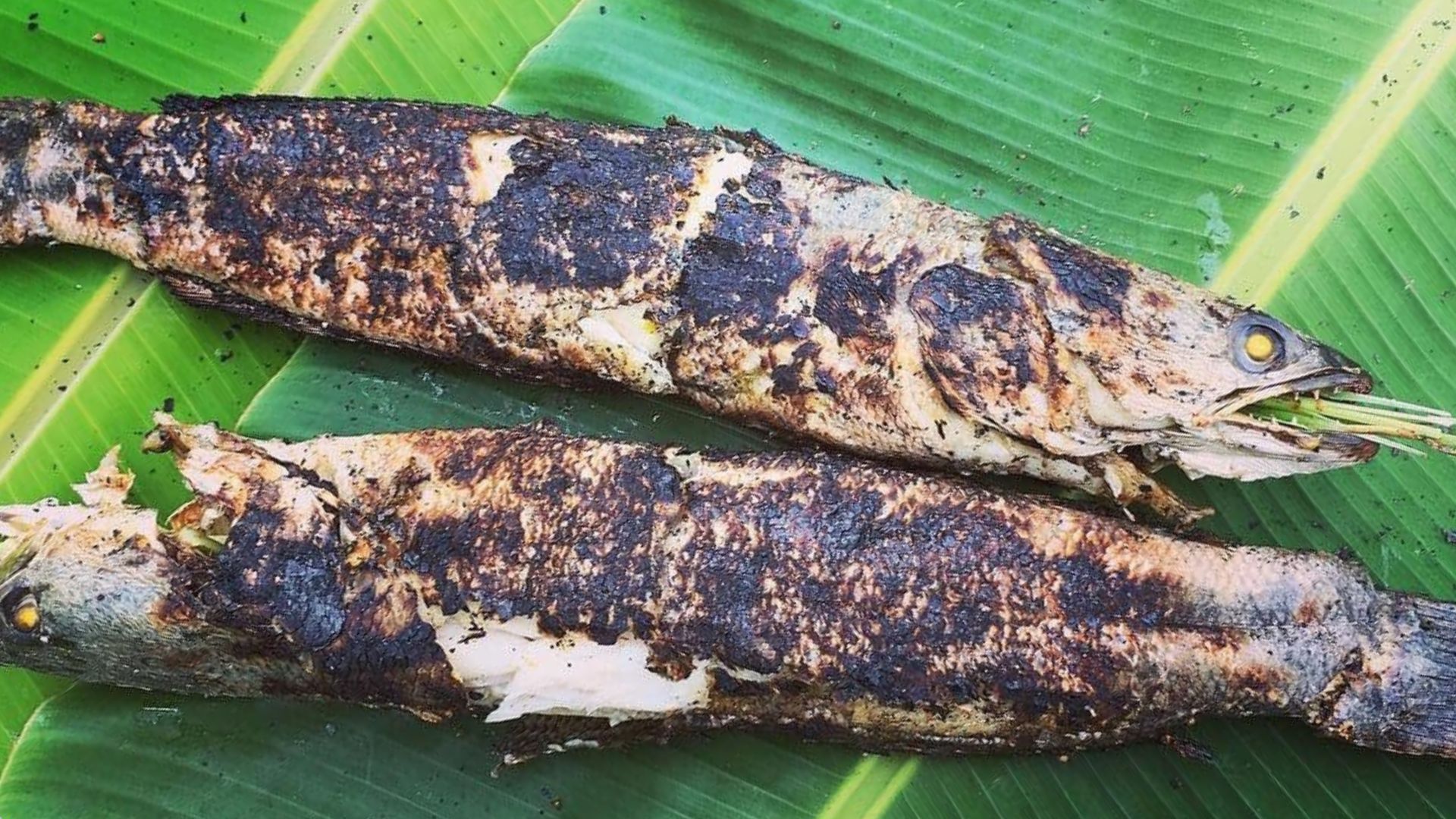 Capture the authentic charm of Long An’s food culture